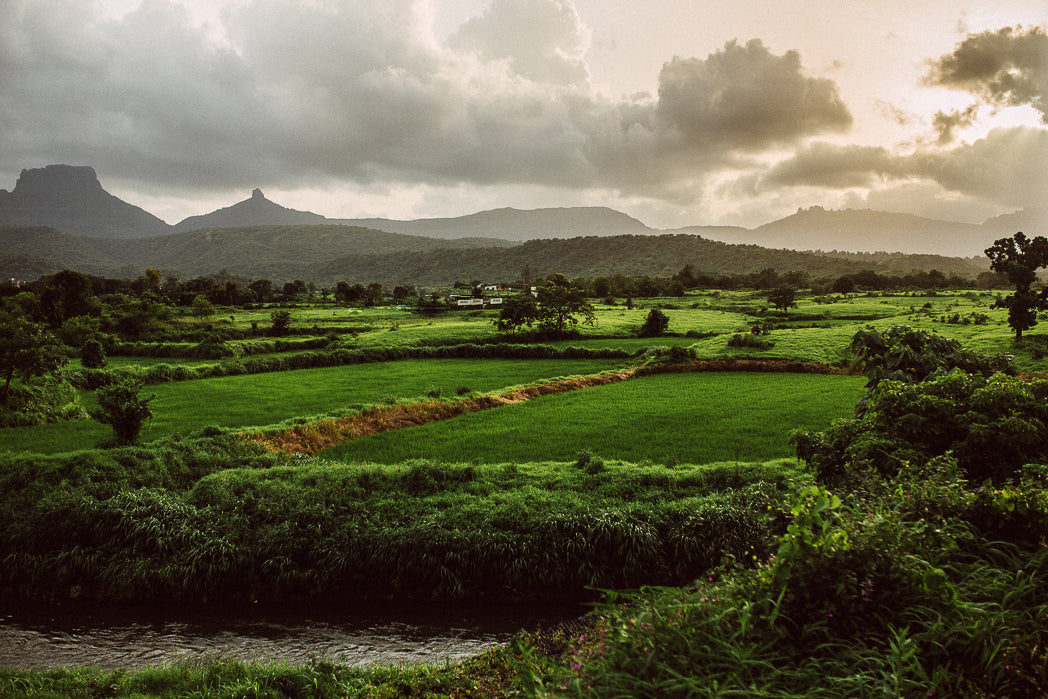 The Top 5 Spots to Harvest Rain in the USA